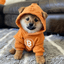 DOGâ˘GOâ˘TOâ˘THEâ˘MOON